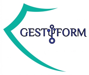 Imagen Gestyform estrena su Pagina Web